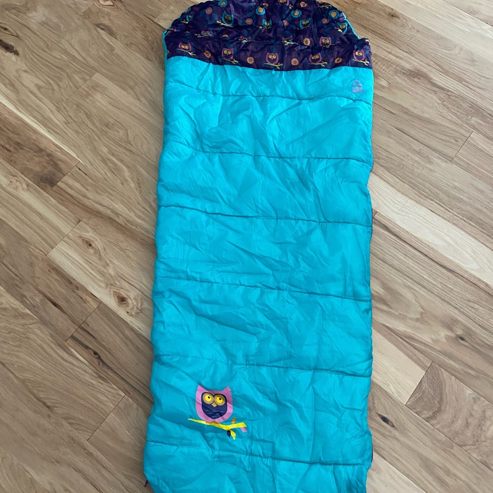 Kids alpine design owl sleeping bag, teal & purple